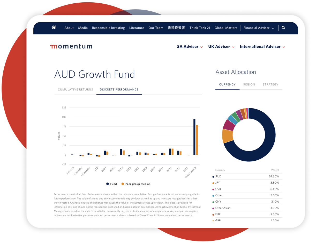 Momentum interactive fund factsheet