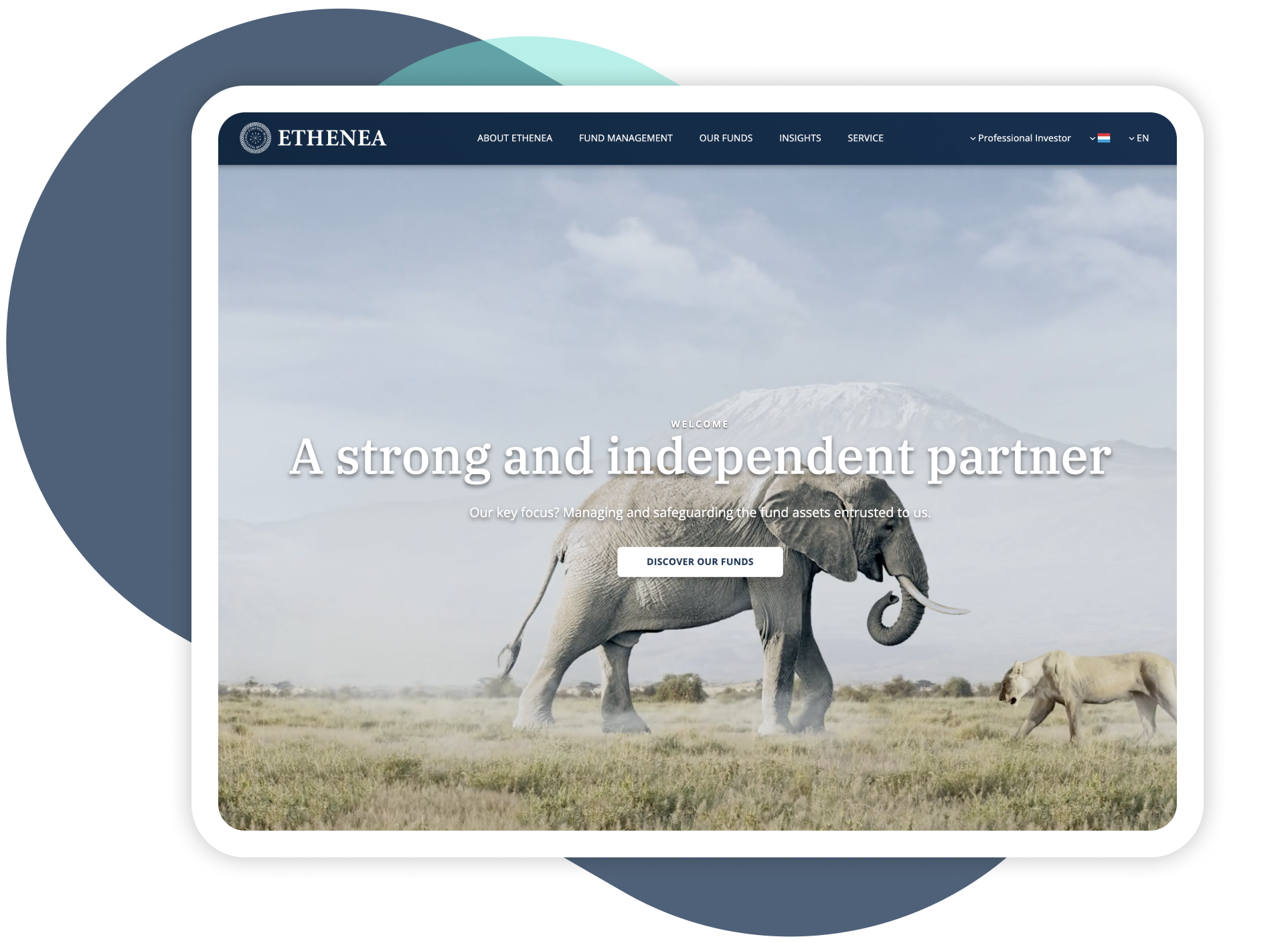Ethenea fund marketing and communications mockup