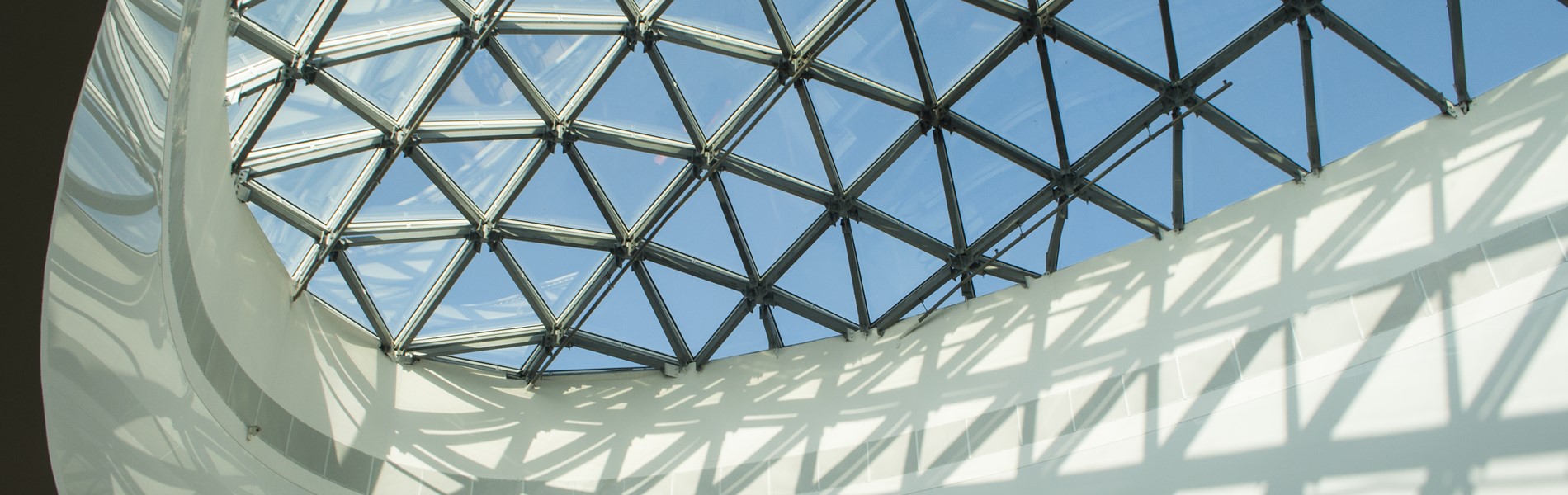 Momentum Hero Banner