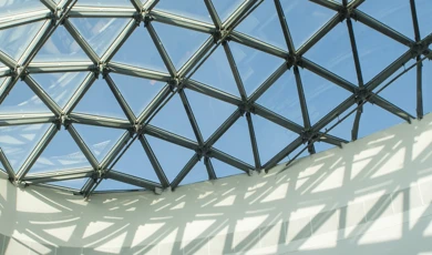 Momentum Hero Banner